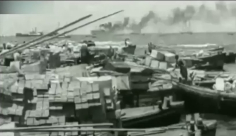 فيديو نادر لميناء يافا وقوارب الصيد عام 1935 